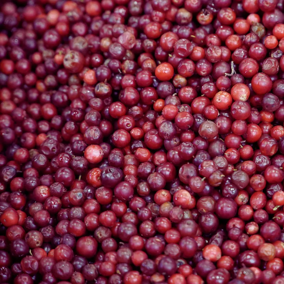 Właściwości żurawiny