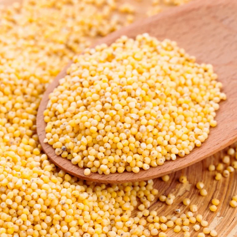 Gotowanie kaszy jaglanej